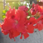 La Grecita E Il Mare بيت للعطل *