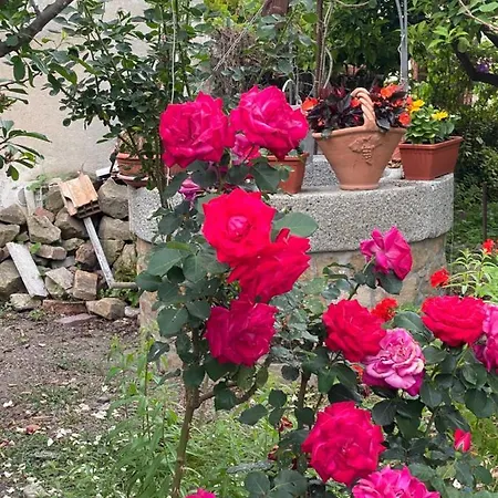 Hébergement de vacances La Grecità E Il Mare Bova Marina