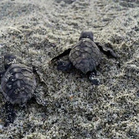 La Grecità E Il Mare Hébergement de vacances