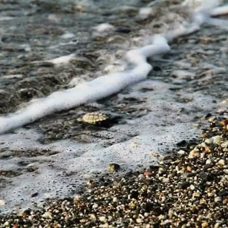 La Grecita E Il Mare 펜션 보바 마리나