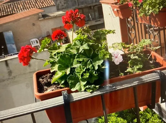 בית נופש La Grecita E Il Mare *