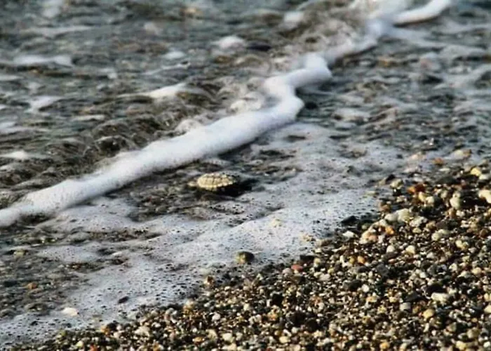 La Grecita E Il Mare בית נופש בובה מרינה